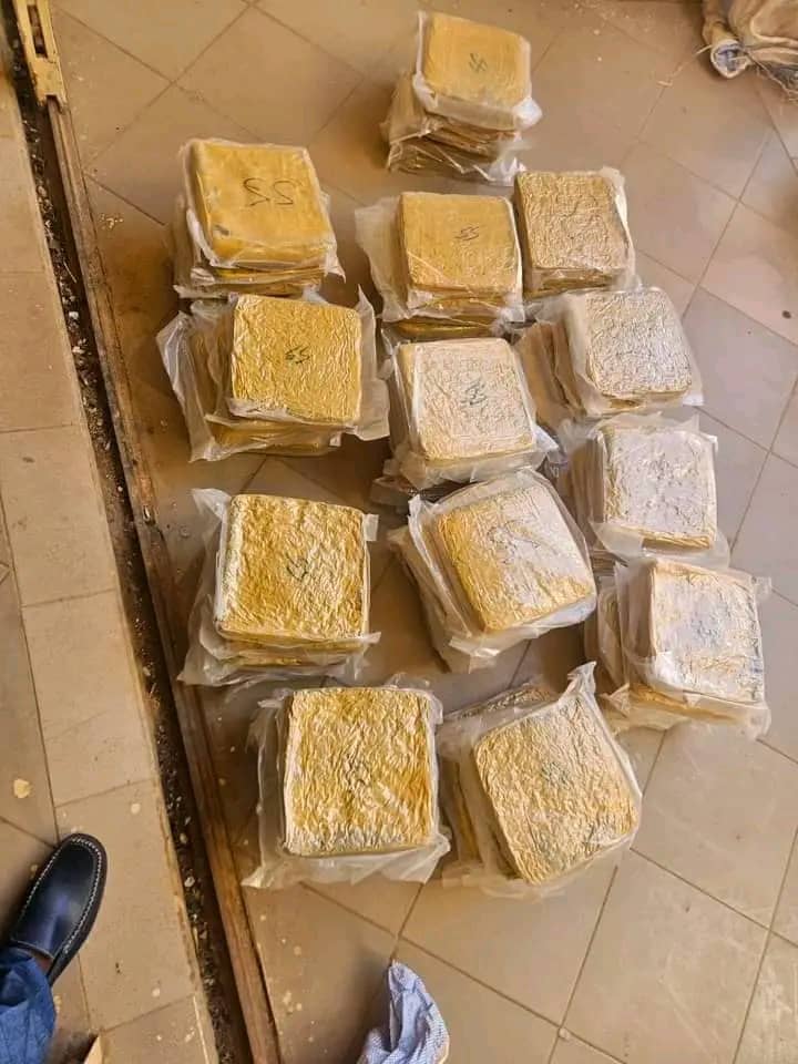 Mali : 65 briques de chanvre indien interceptées par le Bureau secondaire des Douanes de Diboli